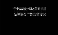 春申XX城一期之假日风景品牌整合广告营销方案【pdf】