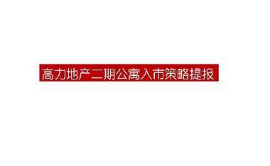 2021高力悟空公寓入市推广提报【pdf】