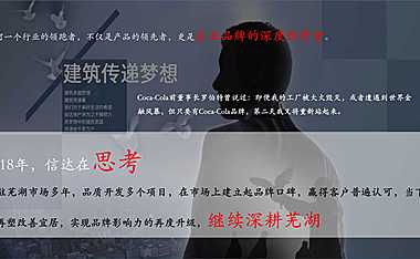 安徽同策_芜湖信达营销提报【pdf】