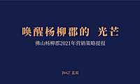 2021绿城佛山杨柳郡青年社区年度推广【pdf】