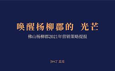 2021绿城佛山杨柳郡青年社区年度推广【pdf】