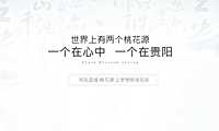 2021蓝城桃花源整合推广方案【pdf】