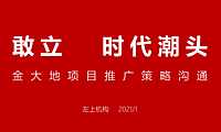 2021金大地铜陵低密洋房项目提报方案【pdf】