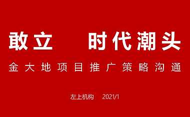 2021金大地铜陵低密洋房项目提报方案【pdf】