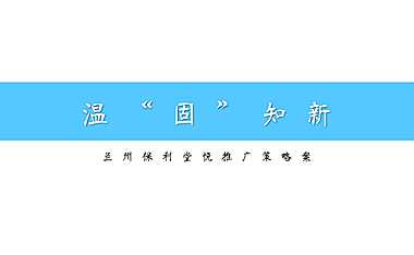 2020广州4A金燕达观-保利堂悦传播策略案