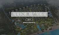 道里—海棠湾长滩度假项目推广策略案【pdf】