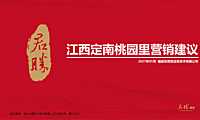 2021江西定南桃园里营销建议【pdf】