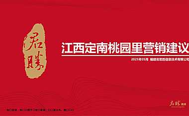 2021江西定南桃园里营销建议【pdf】