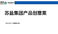 东道-苏盐集团产品整合推广105页2021.2.16【pdf】