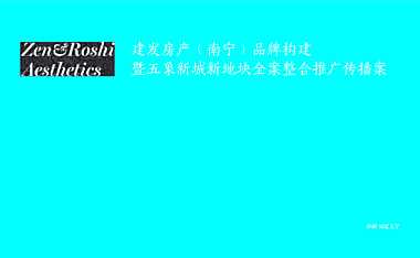 五象开元推广策略方案【pdf】