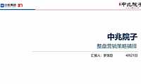 中兆院子营销策略铺排(定).pdf
