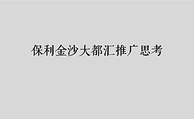 保利金沙大都汇公寓推广思考【pdf】