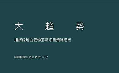 旭辉绿地白云钟落潭项目策略思考135p【pdf】