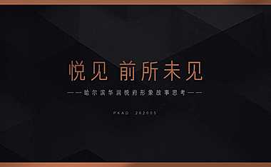 哈尔滨华润悦府形象故事塑造CASE_BY菲尔比克2020.pdf