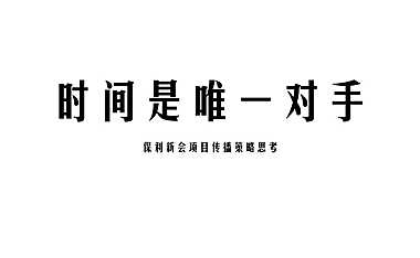 保利新会项目传播广告方案【pdf】
