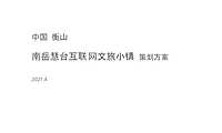 2021中国南岳慧台互联网文旅小镇策划方案