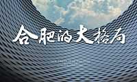 合肥弘阳瑶海观海项目推广方案143p【pdf】