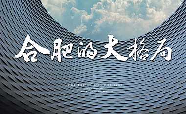 合肥弘阳瑶海观海项目推广方案143p【pdf】