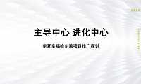 华夏幸福滨江别墅推广方案217p【pptx】