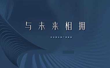 河岸豪宅项目企划策略整盘提案【pdf】