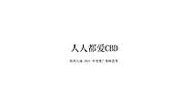 2021年CBD项目推广策略方案【pptx】