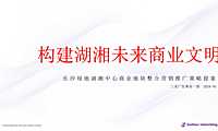 长沙绿地湖湘中心商业地块暨公寓推广策略提案【pptx】