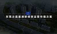 方直星澜新媒体推广方案【pdf】