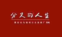 乌镇文旅项目推广策略方案.pdf