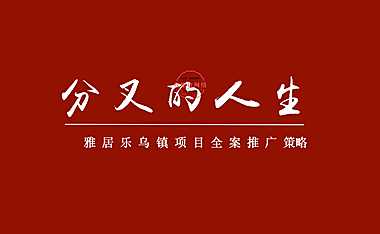 乌镇文旅项目推广策略方案.pdf