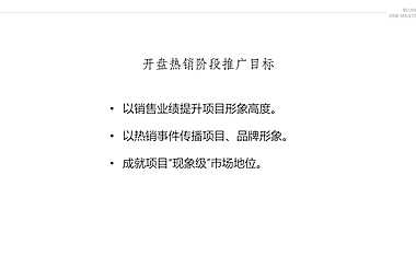 天悦壹号开盘热销期炒作方案【pdf】