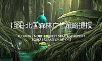 2021北京世嘉广告-旭阳.北国森林项目推广提报-129P【pdf】