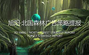 2021北京世嘉广告-旭阳.北国森林项目推广提报-129P【pdf】