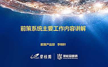 前策系统主要工作内容讲解【pdf】