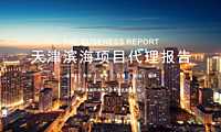 天津住宅项目营销代理报告【pdf】