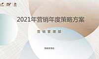 2021碧桂园年度营销策略方案