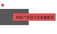 房地产项目开发报建策划【pdf】