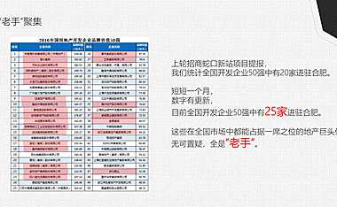招商滨湖项目风新社技术标.pdf