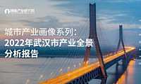 2022年武汉市产业全景分析报告-109页【pdf】