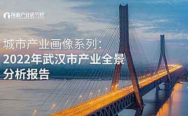 2022年武汉市产业全景分析报告-109页【pdf】