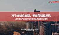 武汉房地产2022年上半年市场总结及市场预判【pdf】