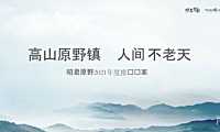 2021昭君原野文旅小镇推广策略（135P）【pptx】