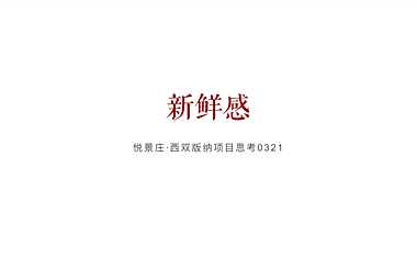 博加-悦景庄西双版纳策略方案126P【pdf】