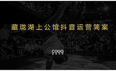 湖上公馆抖音运营方案【pdf】