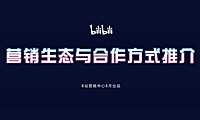 B站营销生态与效果向营销资源组合