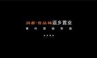 2022润都壹品城返乡置业活动思路【pdf】
