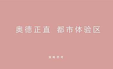 道里-奥德正直都市体验区社群整合推广方案【pdf】