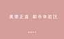 道里-奥德正直都市体验区社群整合推广方案【pdf】