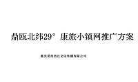 房地产康养项目网络推广方案【pdf】