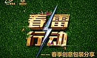 碧桂园春季创意包装方案