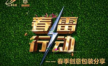 碧桂园春季创意包装方案
